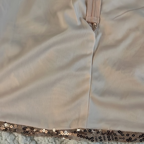 BNWT Sequin Skirt Francesca’s size medium - Picture 6 of 6